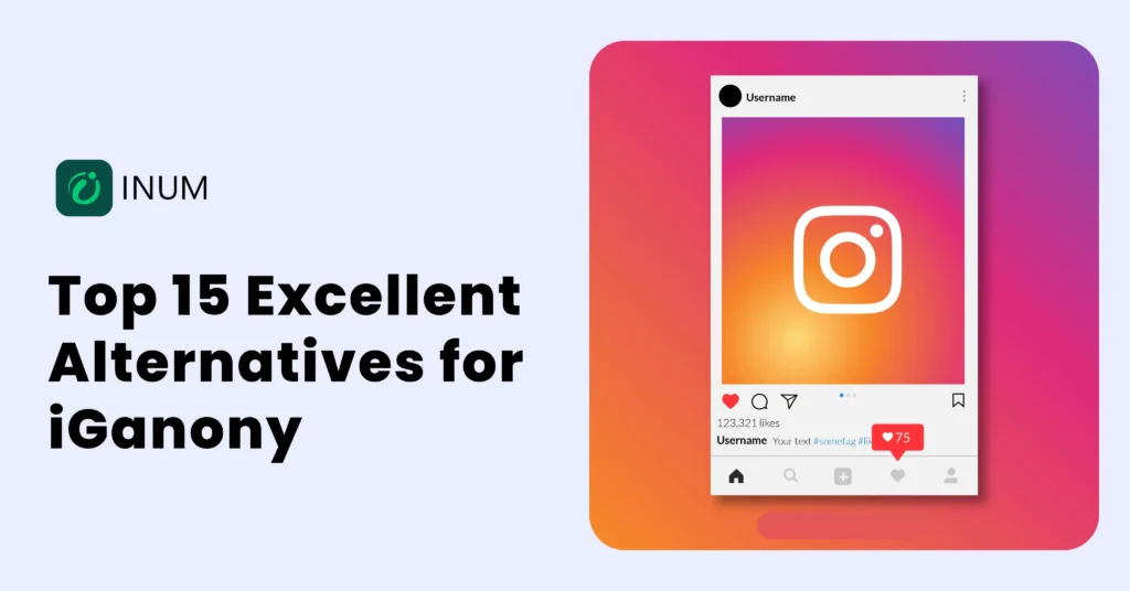 Top 15 Excellent Alternatives for iGanony